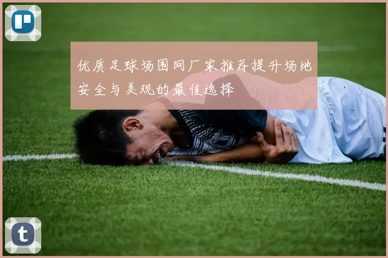 优质足球场围网厂家推荐提升场地安全与美观的最佳选择